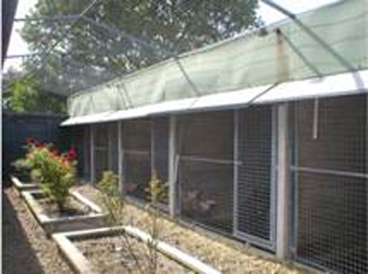 Cattery