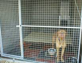 Large Kennels