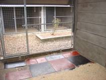 Extra Large Kennels